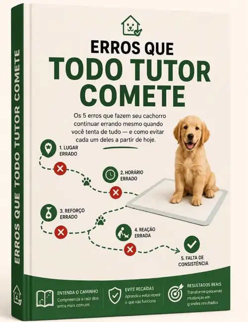 Erros