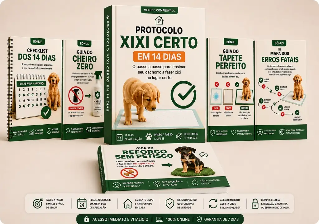 Pacote Completo Protocolo Xixi Certo